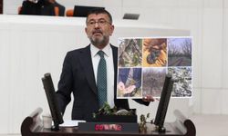 Keşke İktidarda Alkışlasaydı! "Tarımı Hor Gören Yarını Zor Görür!"