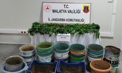 Malatya’da Jandarmadan Üç İlçede Eş Zamanlı Operasyon