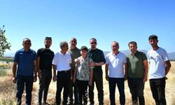Zirai Donun Ardından Malatya’da Tarım Alarmı