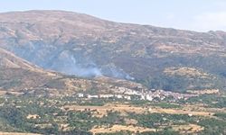 Malatya’nın Doğanyol İlçesinde Orman Yangını Korkuttu