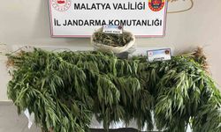 Malatya’da Jandarmadan Zehir Tacirlerine Darbe!