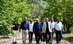 MAGİNDER Başkanı Karademir: “Kayısı Üreticisi Don Felaketiyle Yalnız Bırakılamaz”