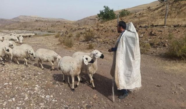 Malatya’da Yayla Yolculuğu Başladı