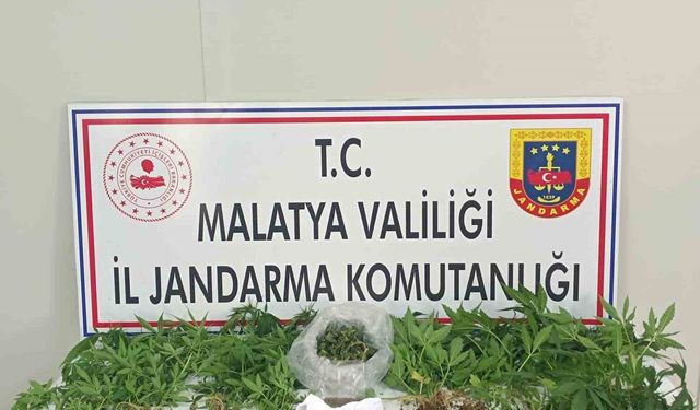 Malatya’da Jandarmadan Zehir Tacirlerine Büyük Darbe