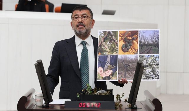 Ağbaba’dan TARSİM’e Sert Tepki: “Üretici Perişan Ödeme Nerede?”