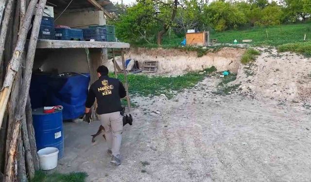 Malatya’da Uyuşturucuya Darbe: 17 Sokak Satıcısı Gözaltına Alındı!