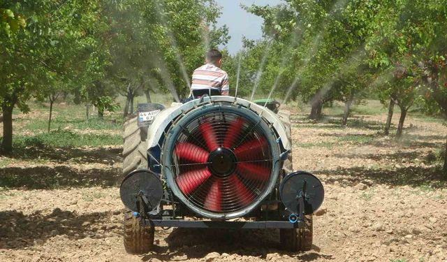 Kayısı Bahçeleri Umutla Yeniden Yeşeriyor