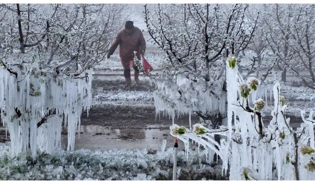 Malatya Milletvekilleri Tüfenkci ve Fendoğlu Zirai Don Araştırma Komisyonunda!