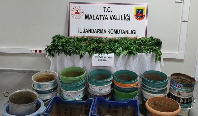 Malatya’da Jandarmadan Üç İlçede Eş Zamanlı Operasyon