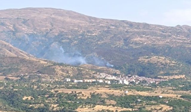 Malatya’nın Doğanyol İlçesinde Orman Yangını Korkuttu
