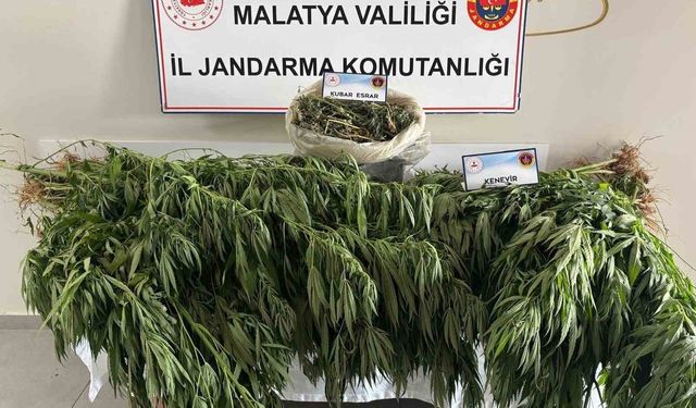 Malatya’da Jandarmadan Zehir Tacirlerine Darbe!
