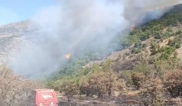 Malatya Doğanyol’da Orman Yangını Kontrol Altına Alındı