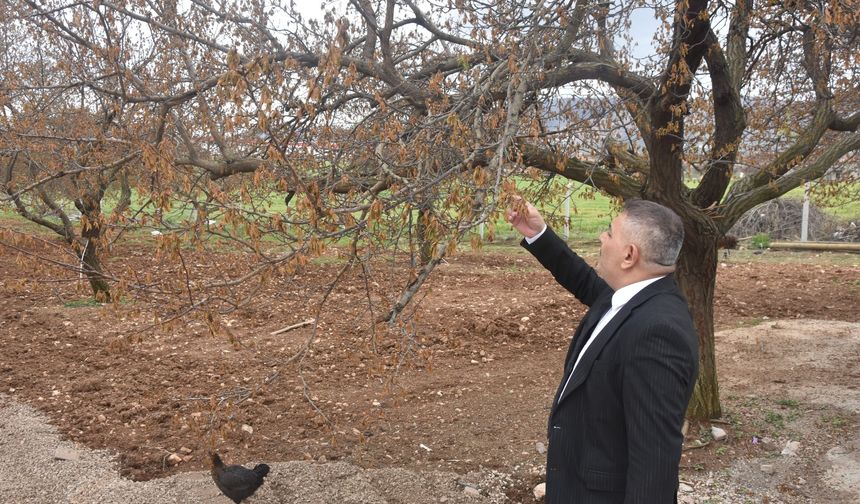 Sadıkoğlu: “Kayısıya Verilecek Destek Malatya’nın Yarınına Yatırımdır”