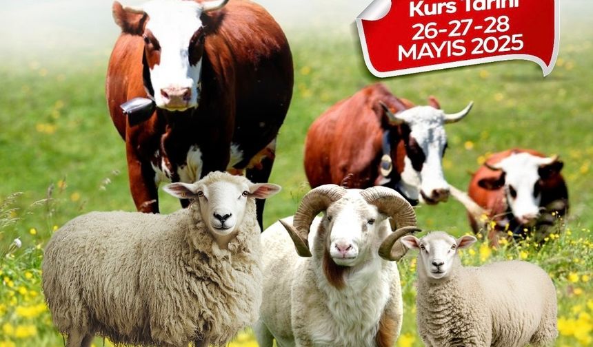 Malatya Belediyesi’nden Kurban Bayramı Öncesi Eğitim Hamlesi