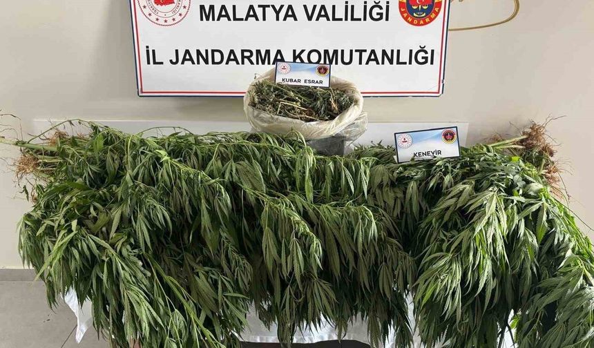 Malatya’da Jandarmadan Zehir Tacirlerine Darbe!