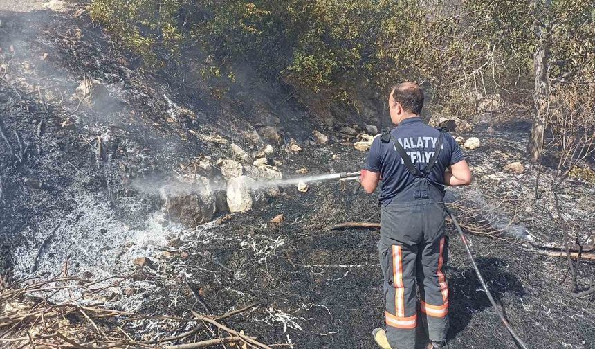 Darende'de Bahçe Yangını Paniğe Neden Oldu
