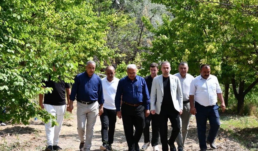 MAGİNDER Başkanı Karademir: “Kayısı Üreticisi Don Felaketiyle Yalnız Bırakılamaz”