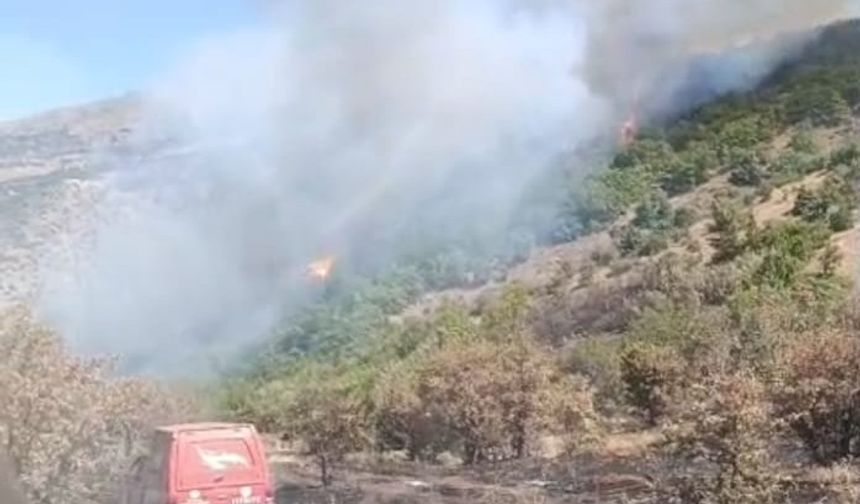 Malatya Doğanyol’da Orman Yangını Kontrol Altına Alındı